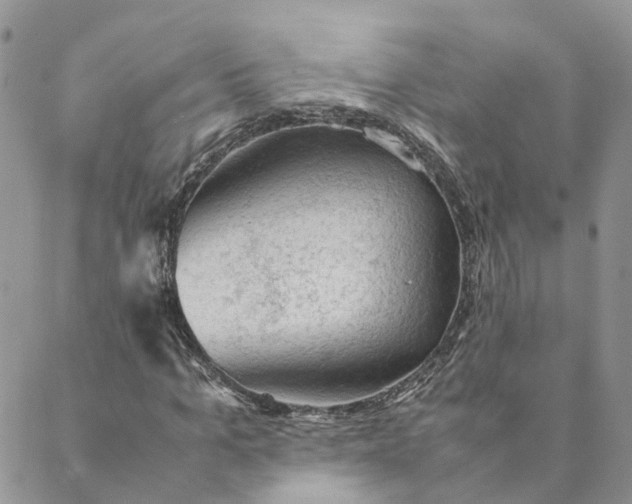 X0000089360965200707061045