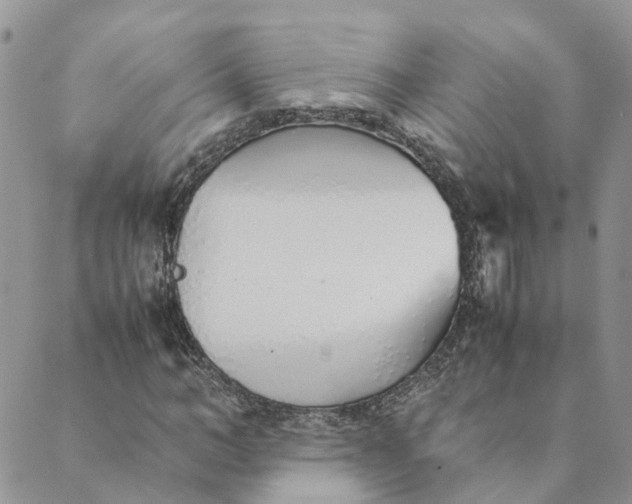 X0000089360966200707061045