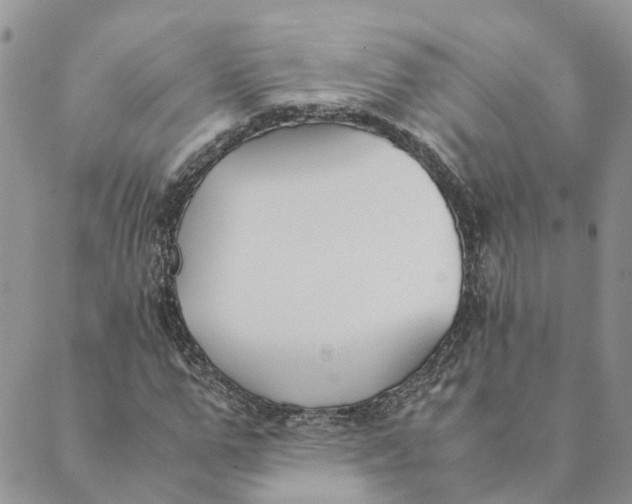 X0000089360967200707061045