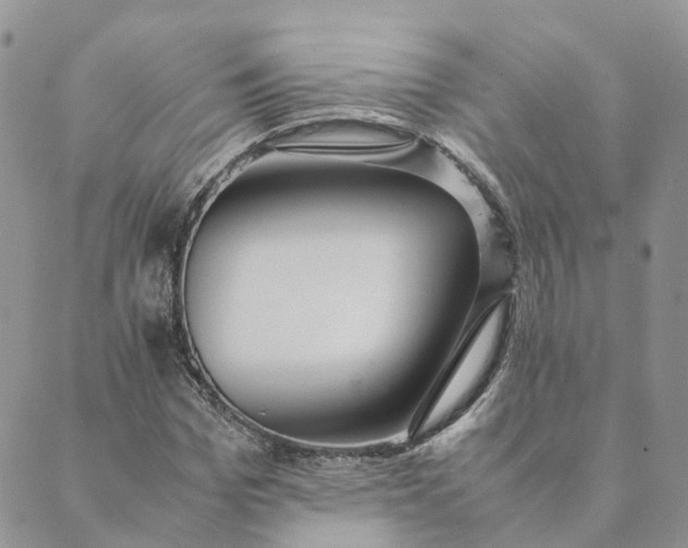 X0000089360969200707061045