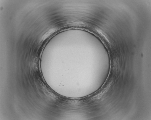 X0000089360970200707061045