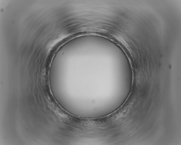 X0000089360971200707061045