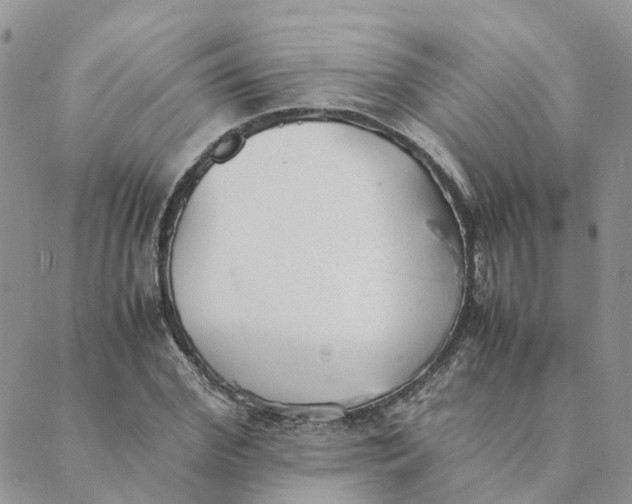 X0000089360972200707061045