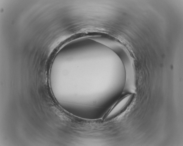 X0000089360973200707061045