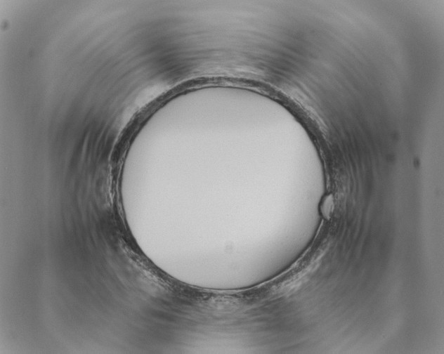 X0000089360974200707061045