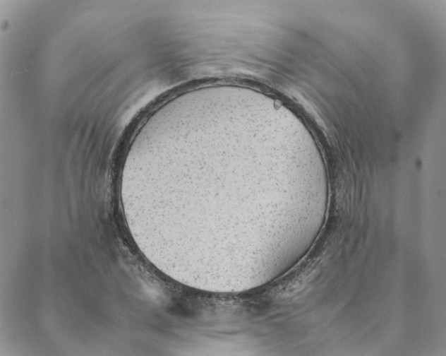 X0000089360975200707061045