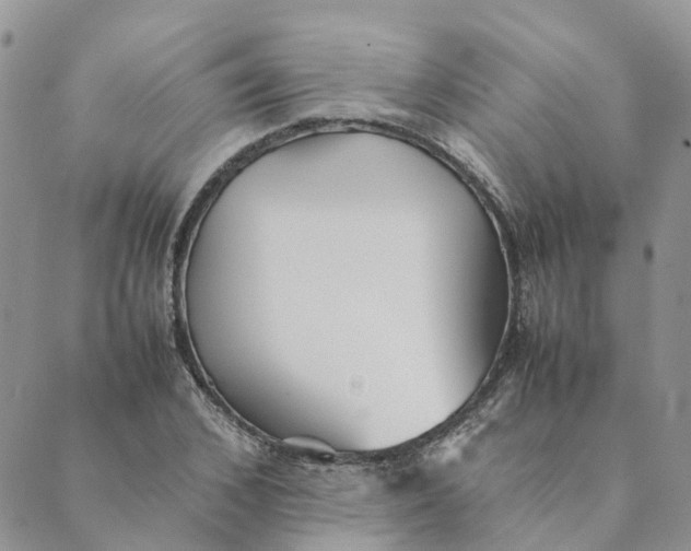 X0000089360976200707061045