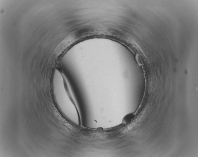 X0000089360977200707061045