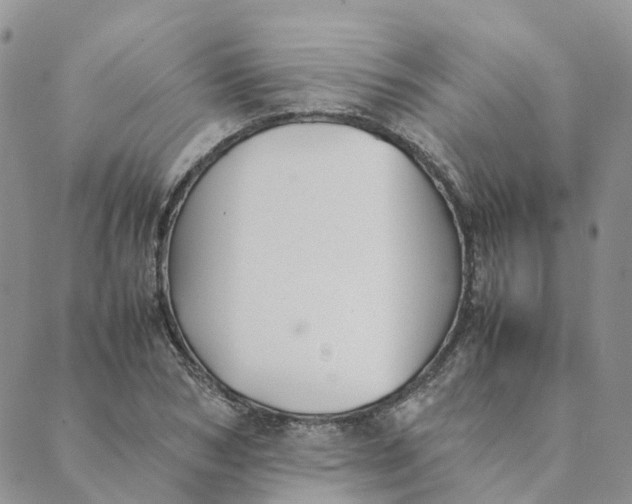 X0000089360978200707061045