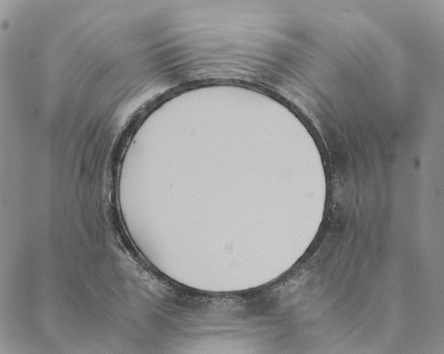 X0000089360979200707061045