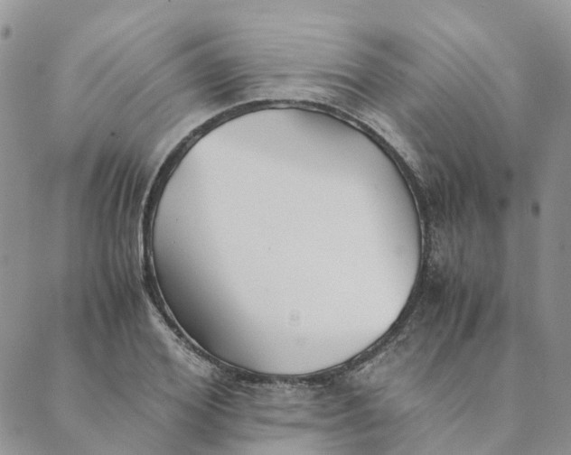 X0000089360980200707061045