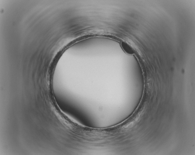 X0000089360981200707061045