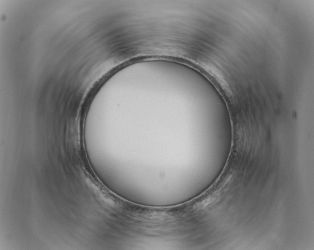 X0000089360982200707061045