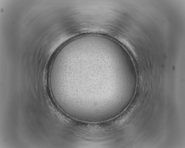 X0000089360983200707061045