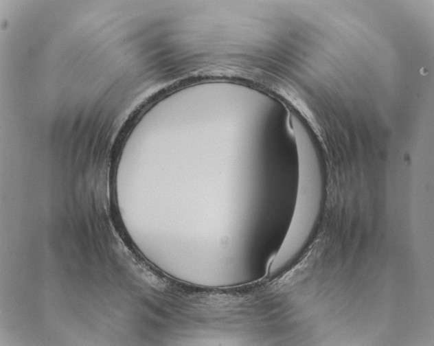 X0000089360984200707061045