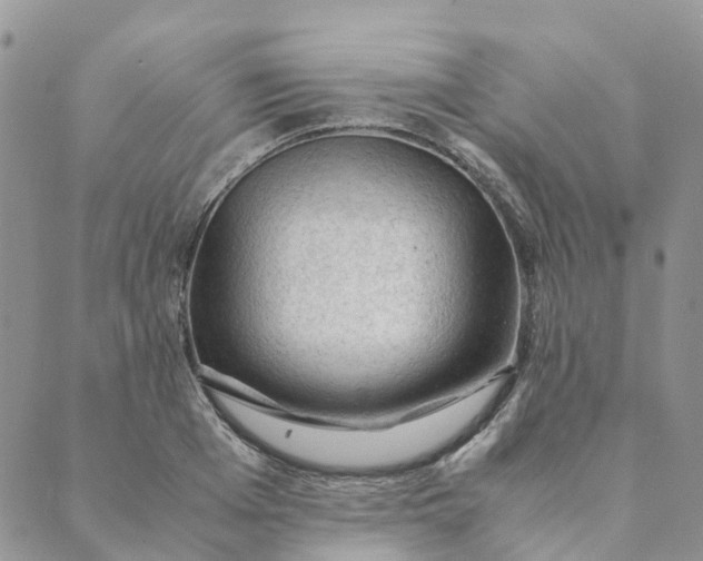 X0000089360985200707061045