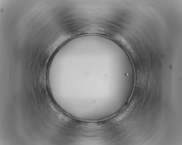 X0000089360986200707061045