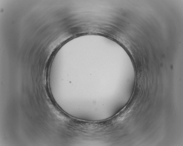 X0000089360987200707061045