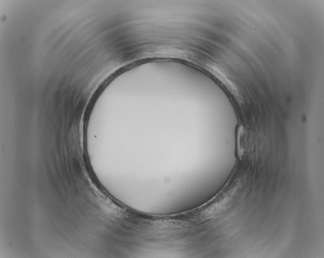 X0000089360988200707061045