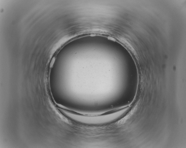 X0000089360989200707061045