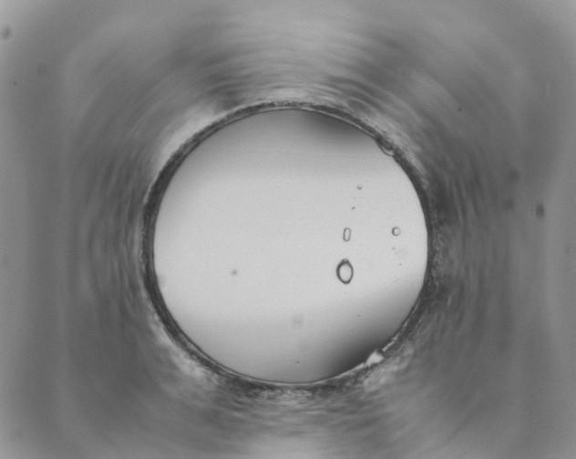 X0000089360991200707061045