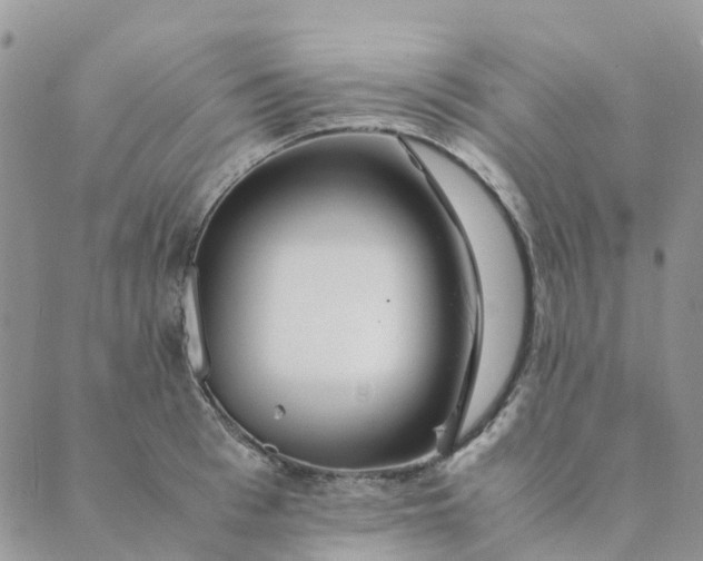 X0000089360993200707061045