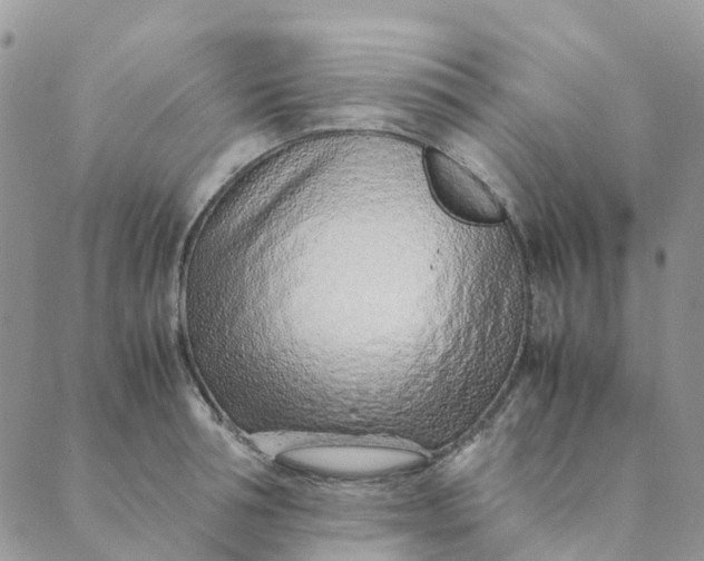 X0000089360994200707061045