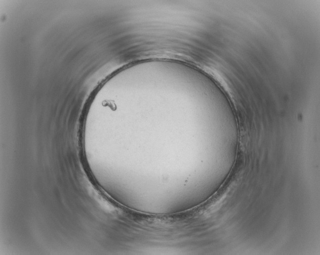 X0000089360995200707061045