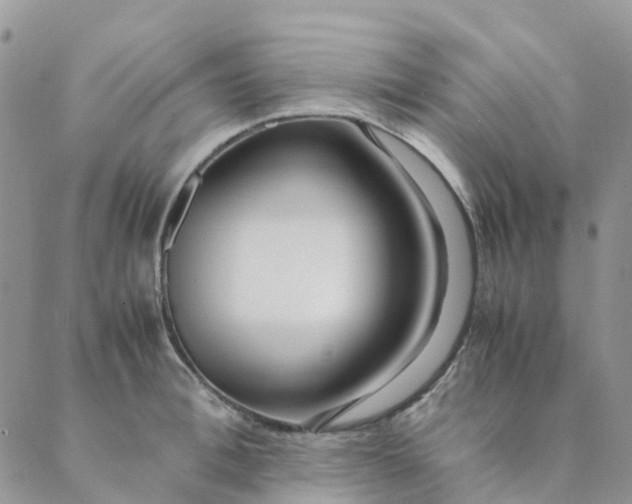 X0000089360996200707061045