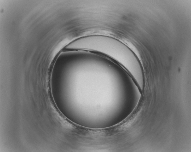 X0000089360997200707061045