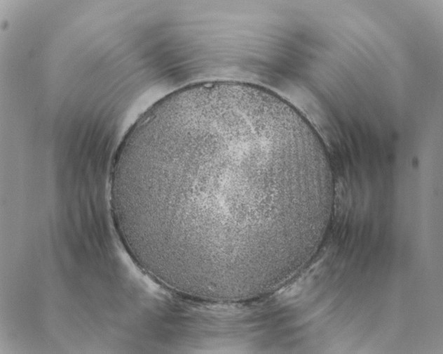 X0000089360998200707061045