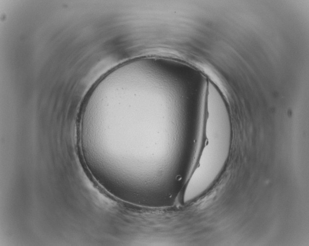 X0000089360999200707061045