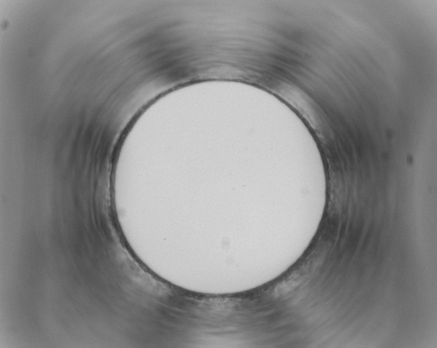 X0000089361000200707061045