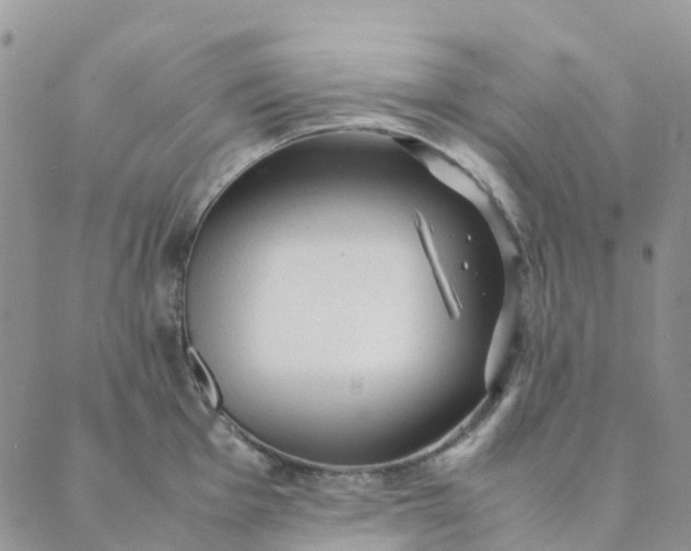 X0000089361001200707061045