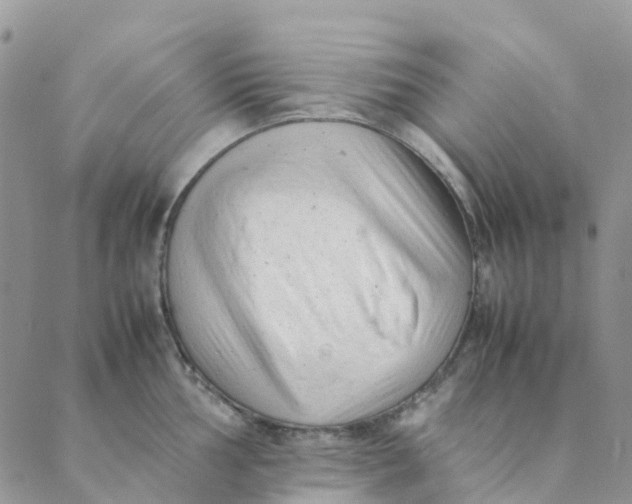 X0000089361002200707061045