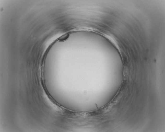 X0000089361003200707061045