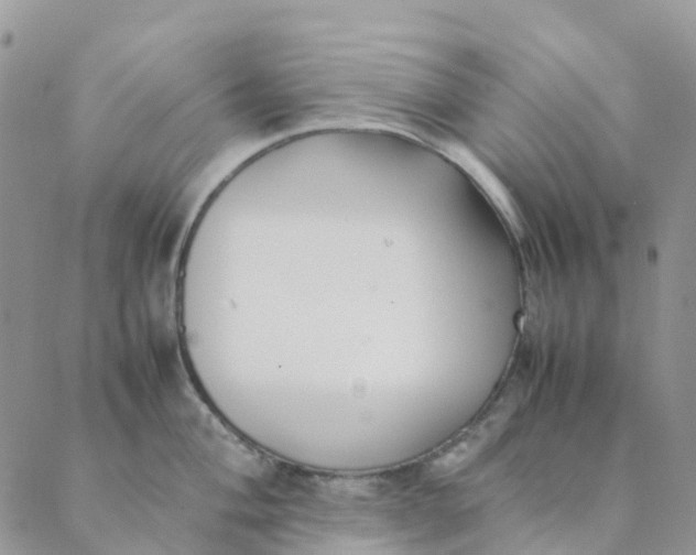 X0000089361004200707061045