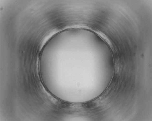 X0000089361006200707061045