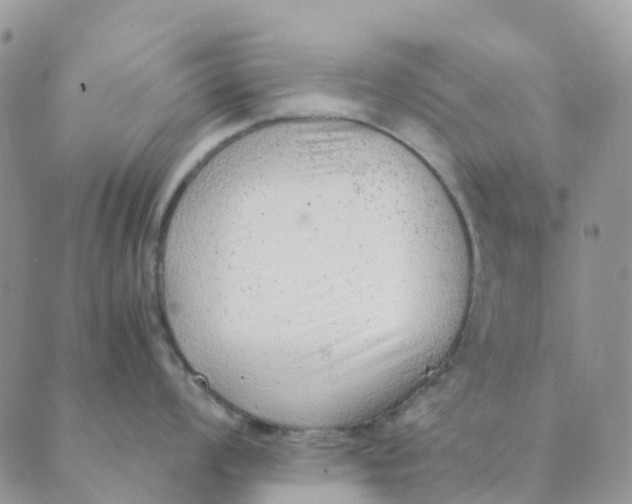 X0000089361008200707061045