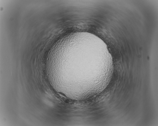 X0000089361009200707061044