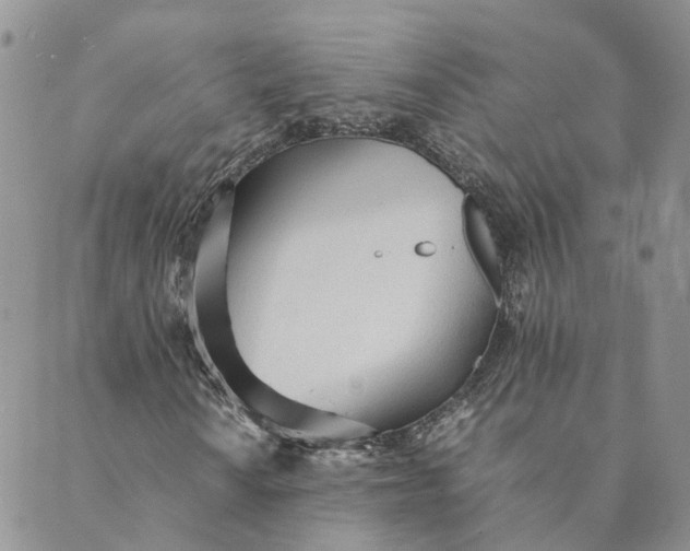 X0000089361010200707061044