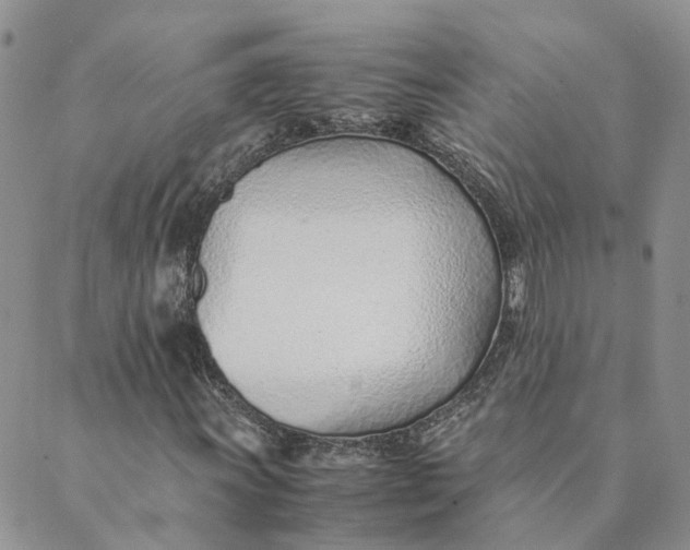 X0000089361011200707061044