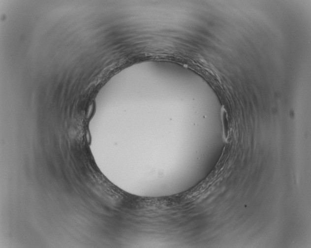 X0000089361012200707061044