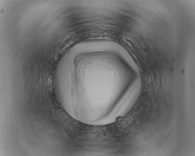 X0000089361013200707061044