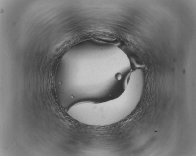 X0000089361014200707061044