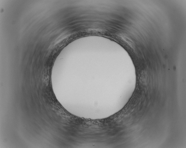 X0000089361015200707061044