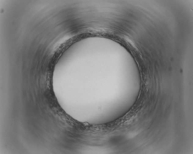 X0000089361016200707061044