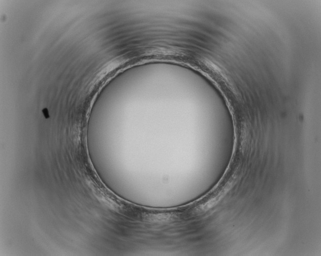 X0000089361017200707061044