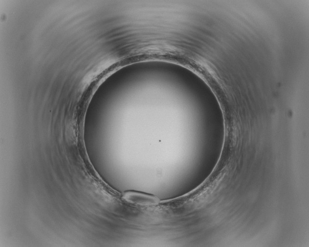 X0000089361018200707061044