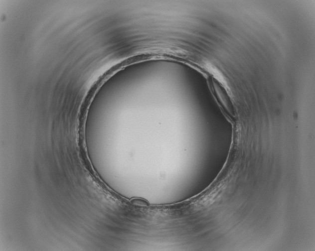 X0000089361020200707061044